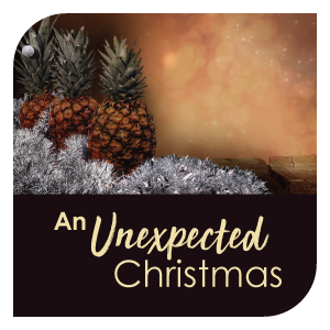 An Unexpected Christmas