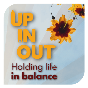 Up, In, Out