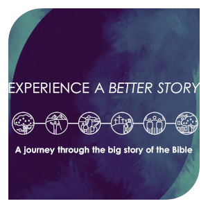 Experience A Better Story